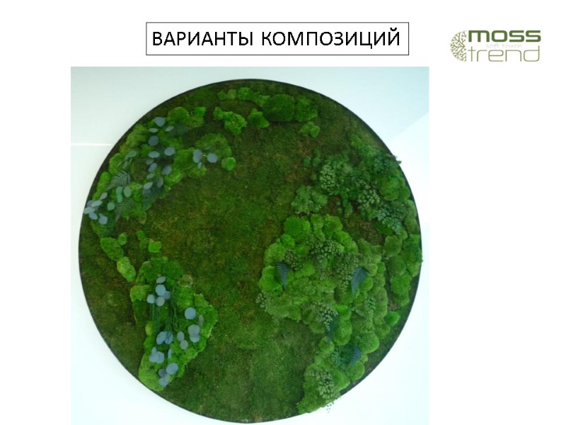 ВАРИАНТЫ КОМПОЗИЦИЙ